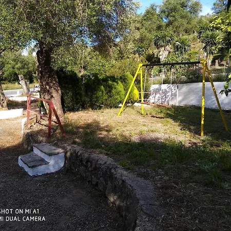 - Sun's Gift Spiros Paleokastritsa